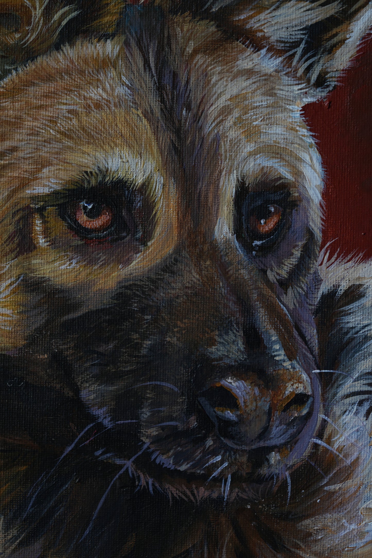 African Wildlife C.023/Afrikanischer Wildhund Original