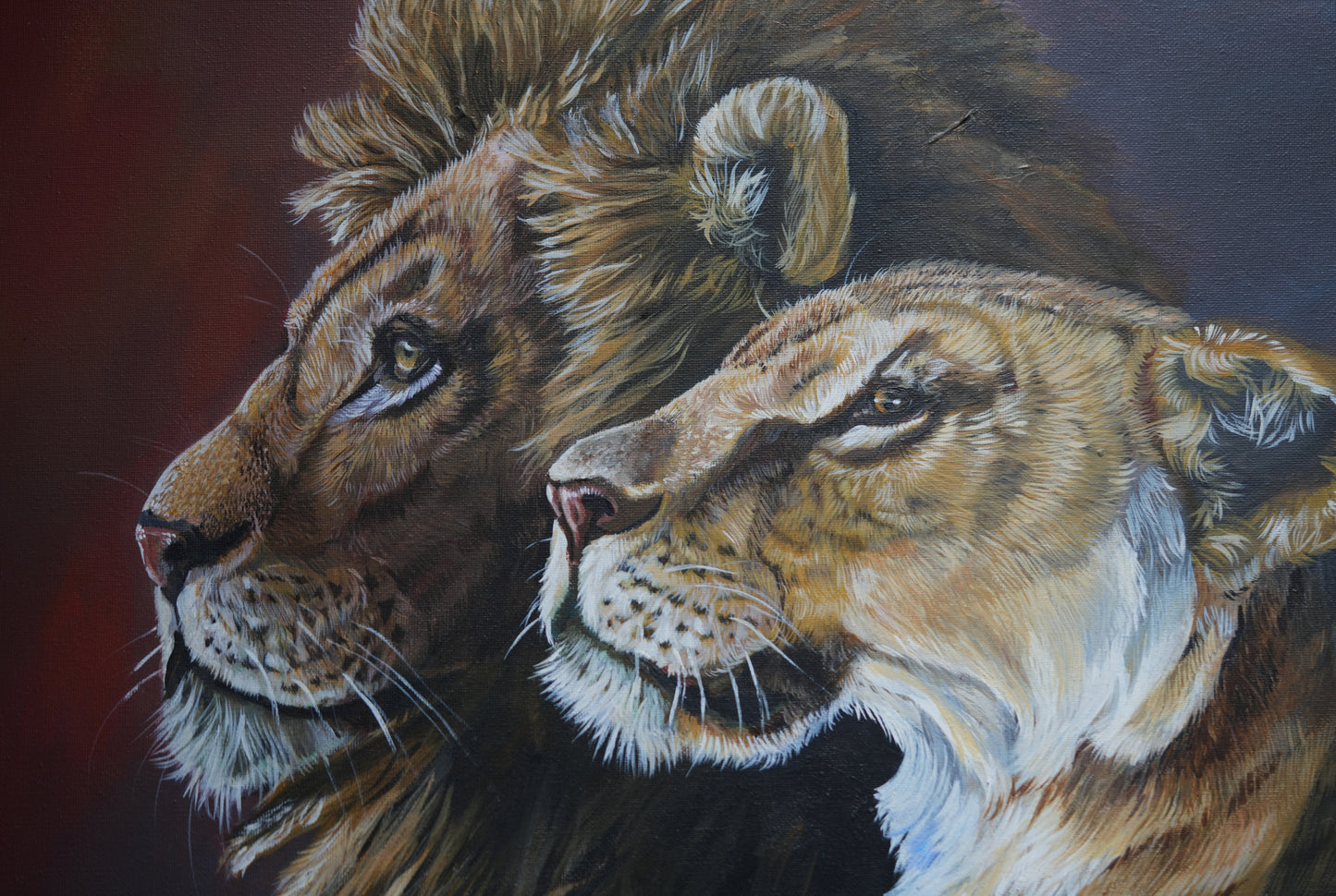 African Wildlife C.027/Löwen Original