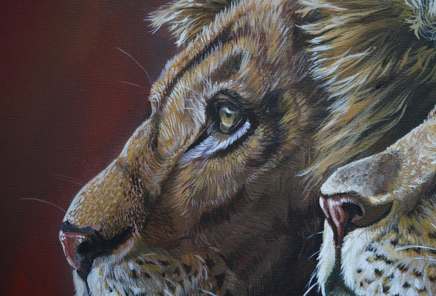 African Wildlife C.027/Löwen Original