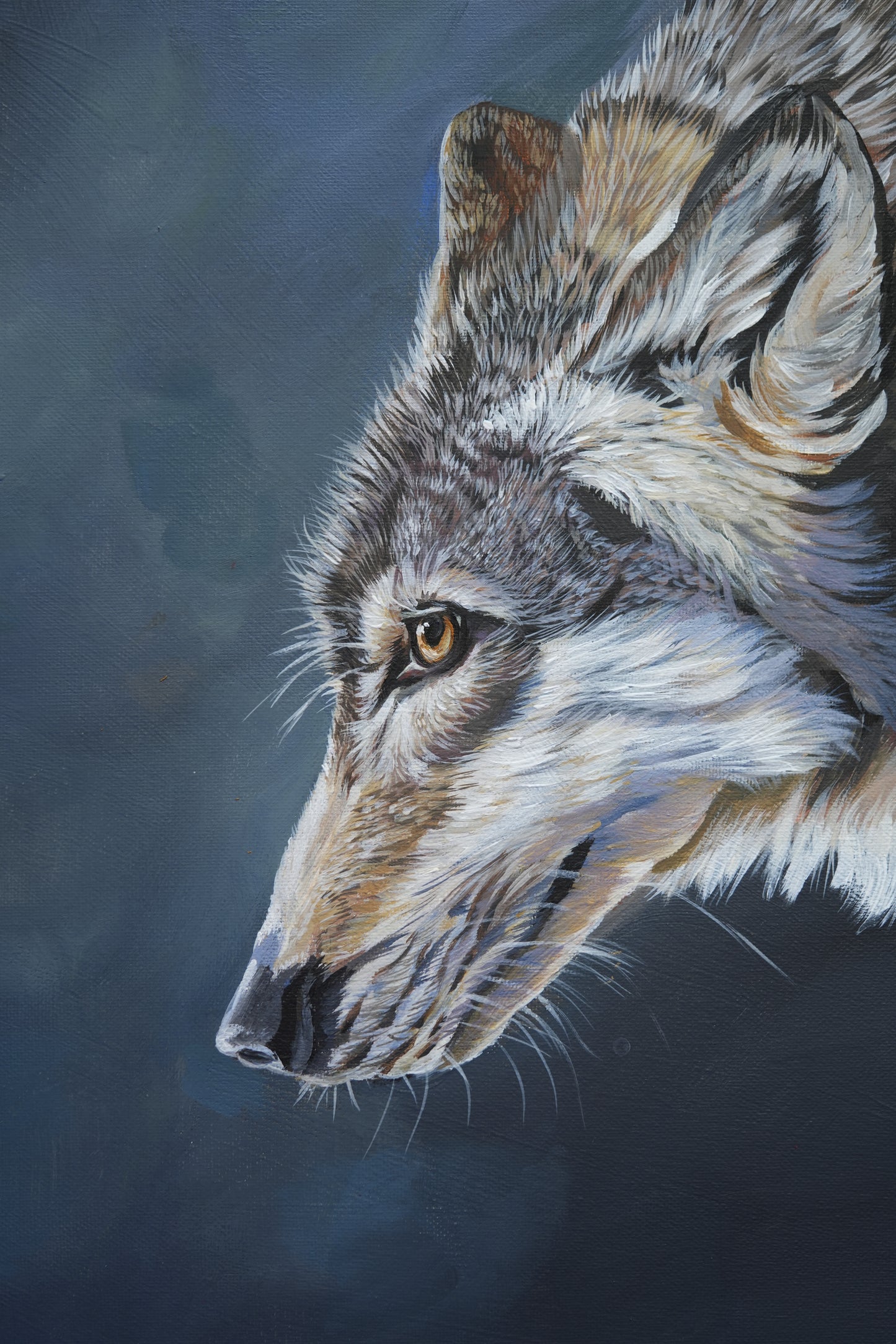 036 / "The gentle Wolf " Original