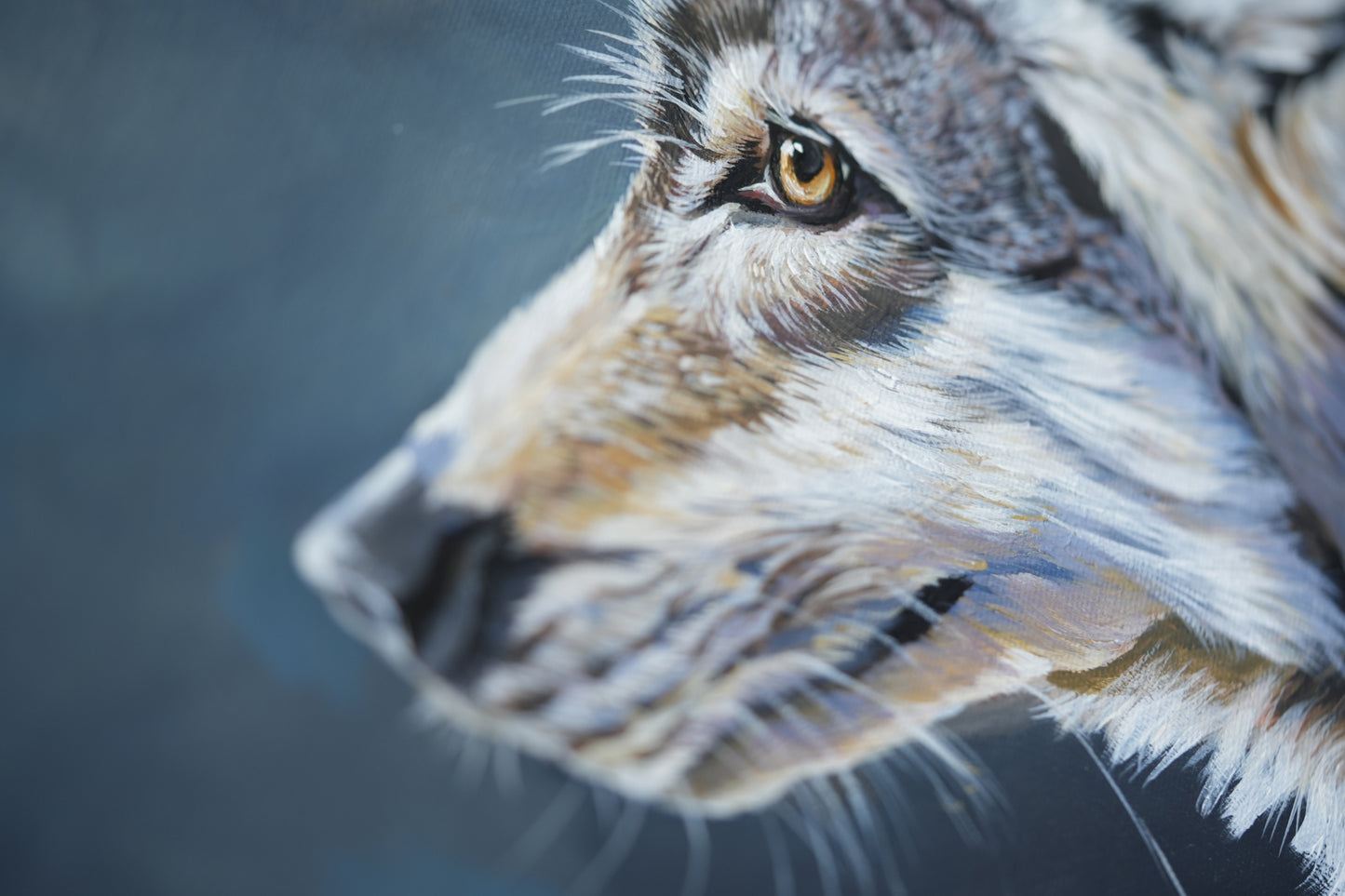 036 / "The gentle Wolf " Original
