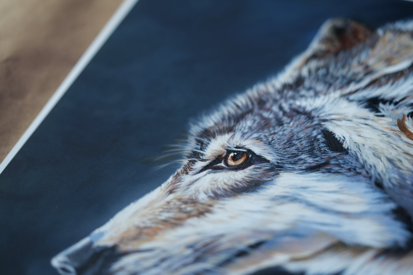 036/ "The gentle wolf " Print