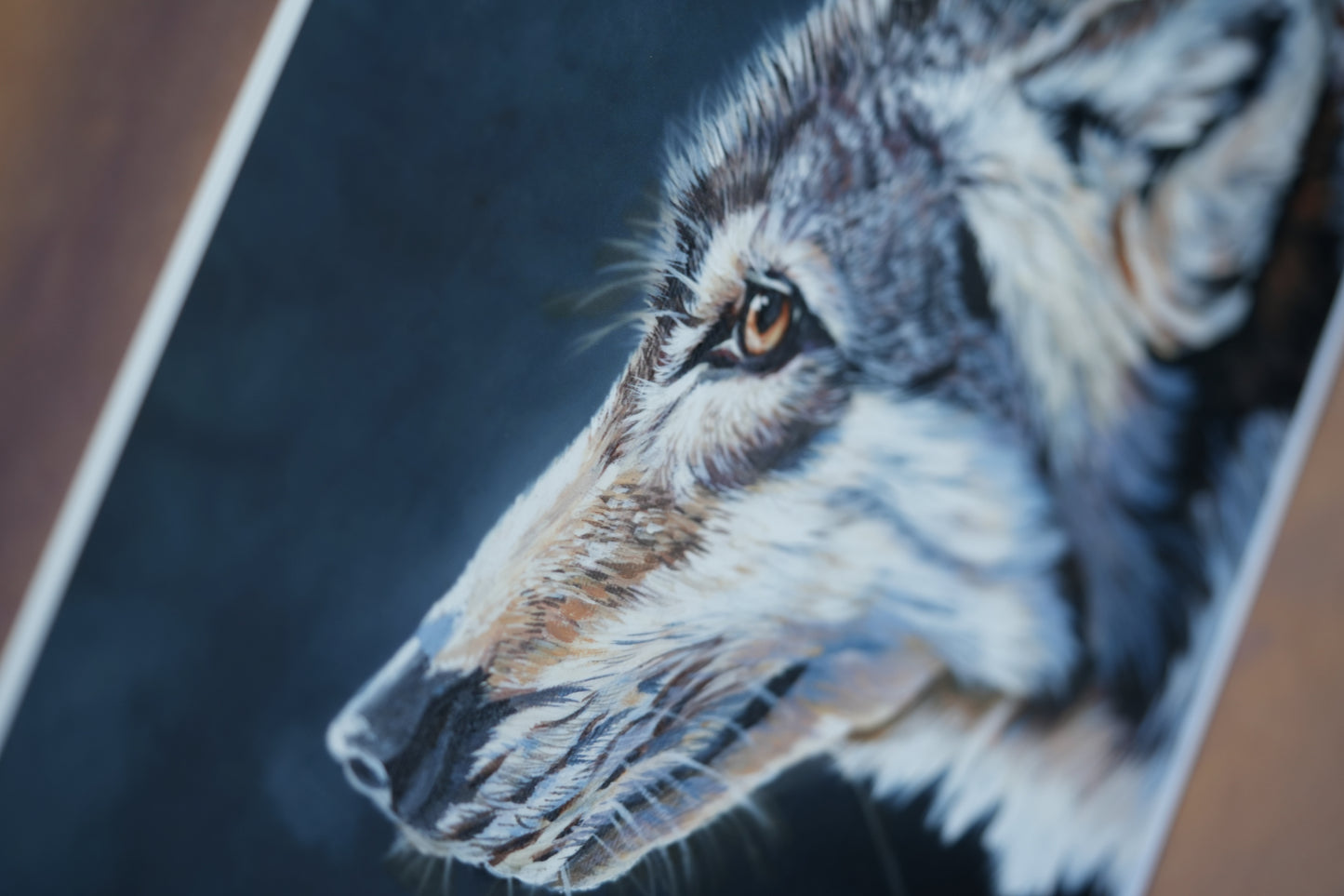 036/ "The gentle wolf " Print