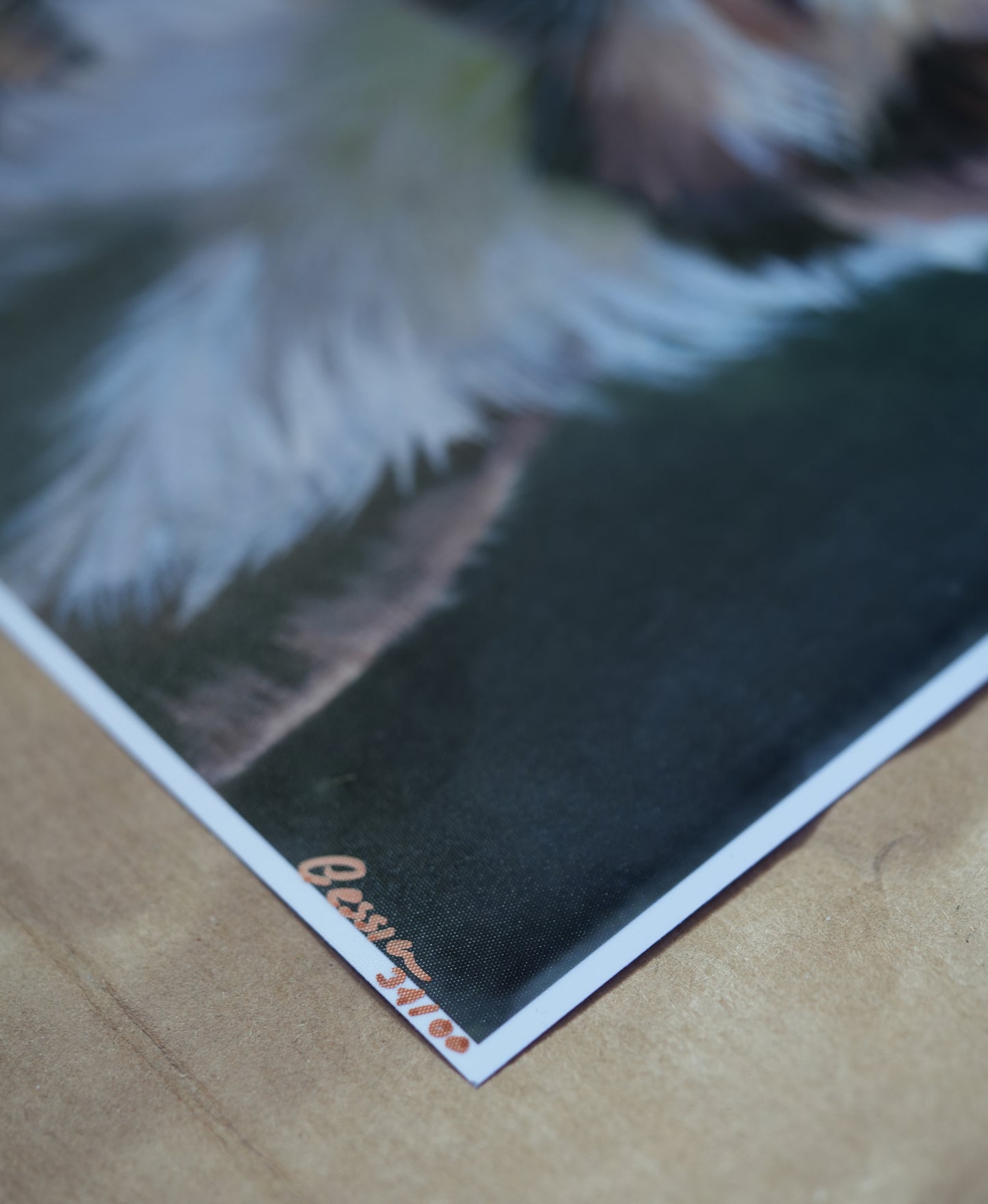 Into the Forest C.031/ Marder Fips Print