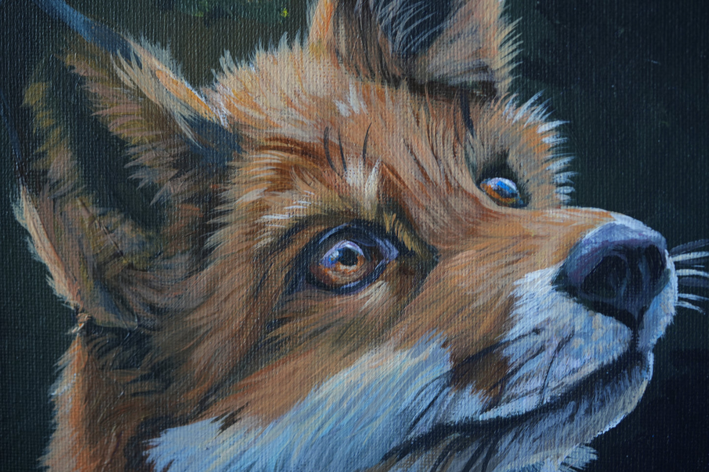 Into the Forest C.032/Fuchs Findus Original