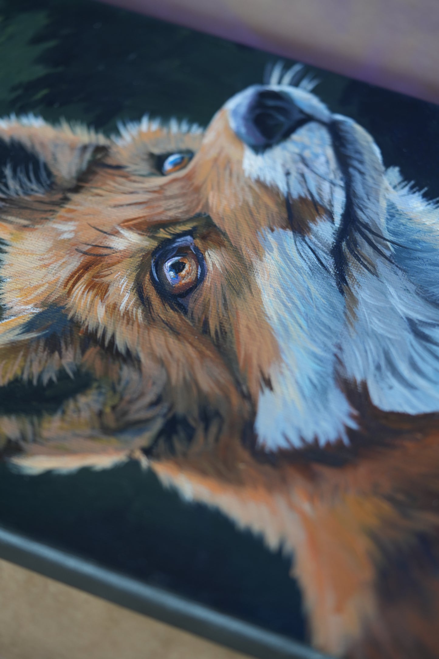 Into the Forest C.032/Fuchs Findus Original