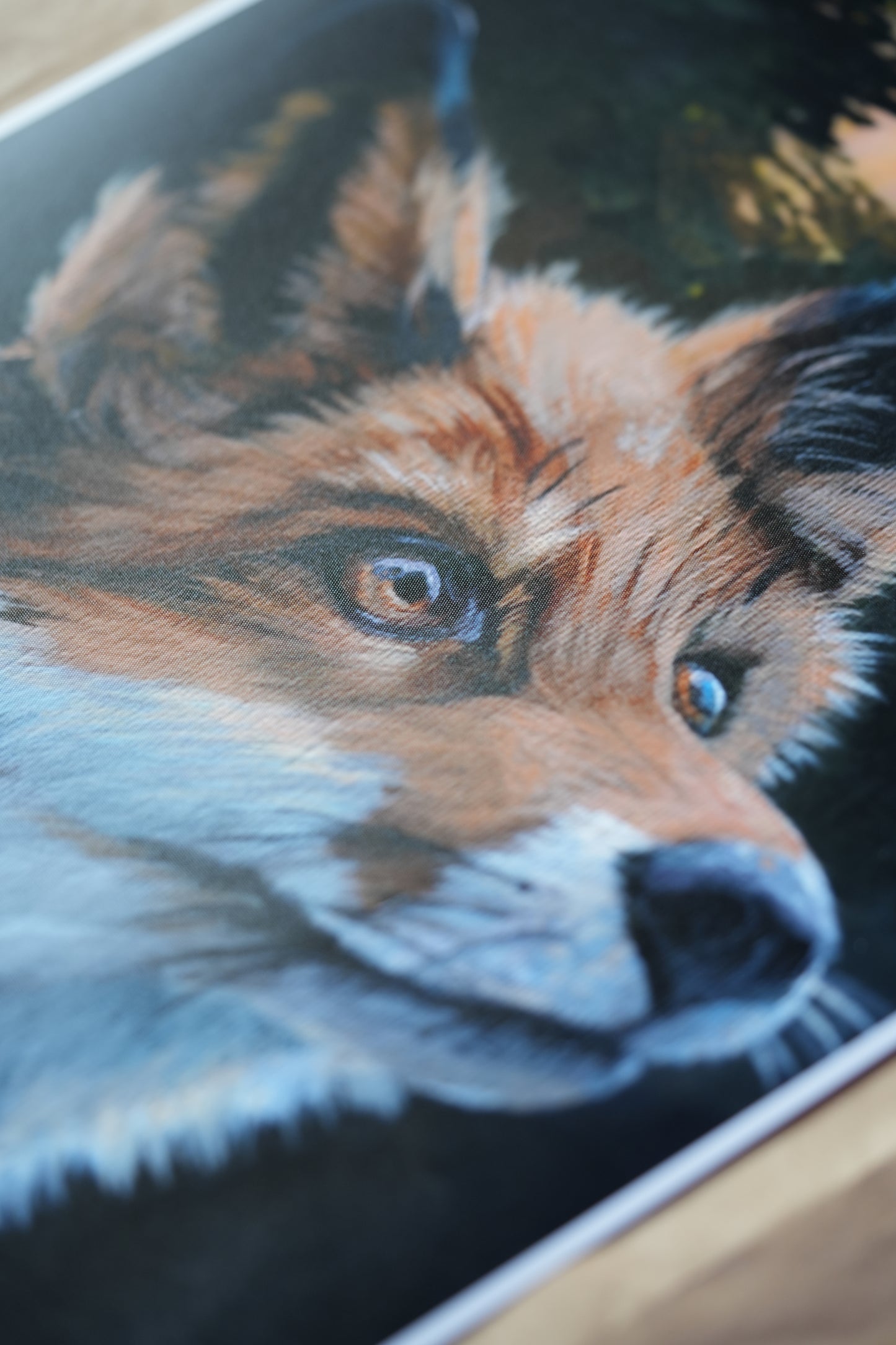 Into the Forest C.032/ Fuchs Findus Print