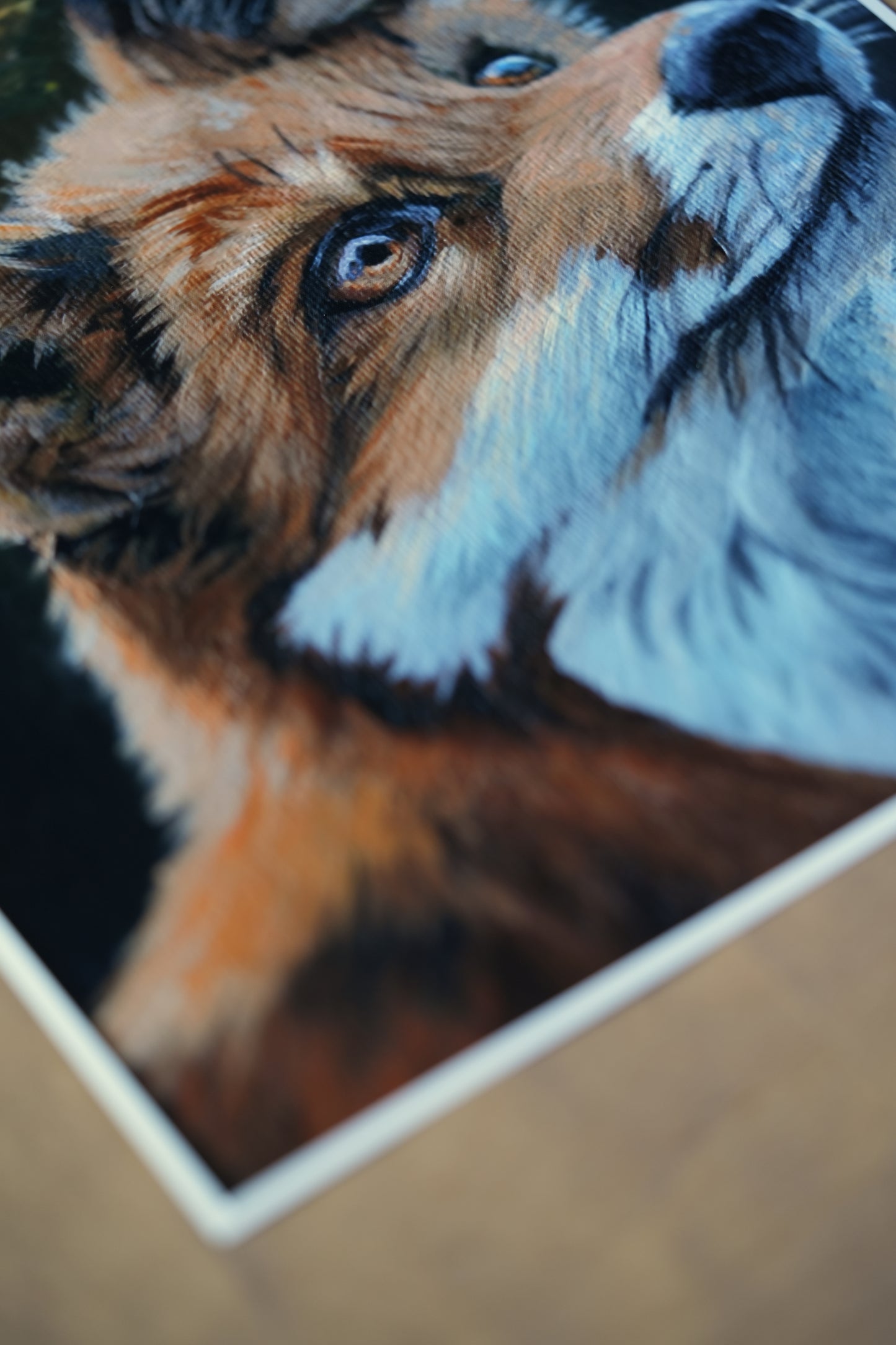 Into the Forest C.032/ Fuchs Findus Print