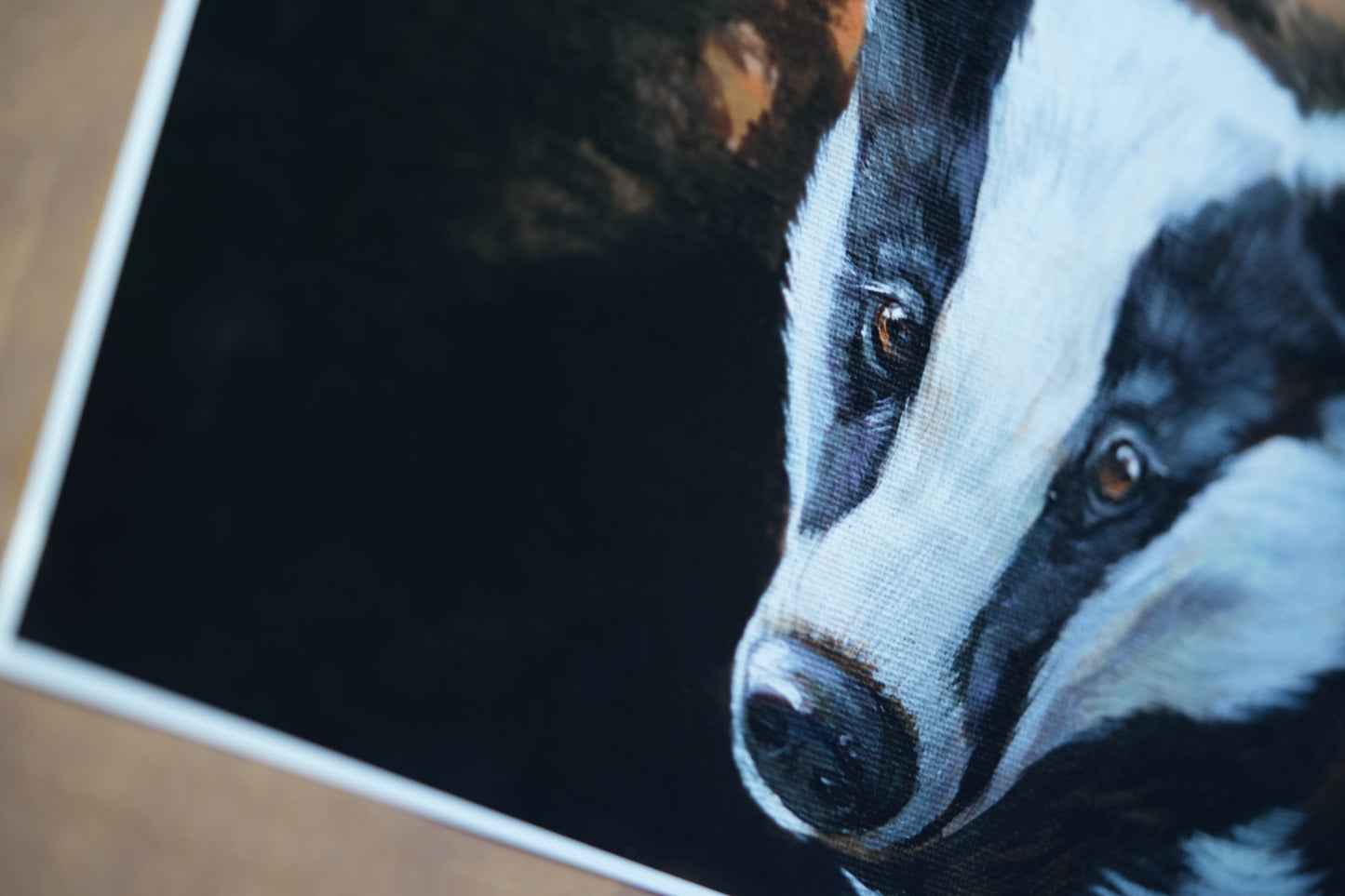 Into the Forest C.033/ Dachs Bella Print