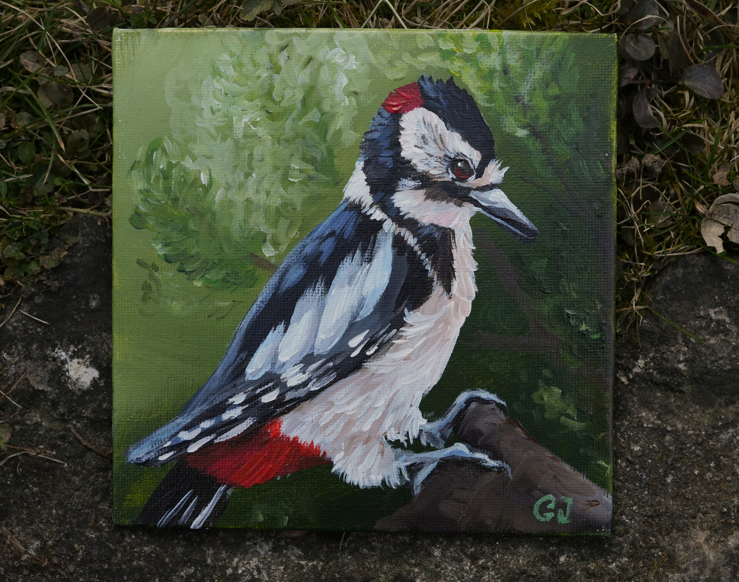 005/26 Buntspecht Bernd