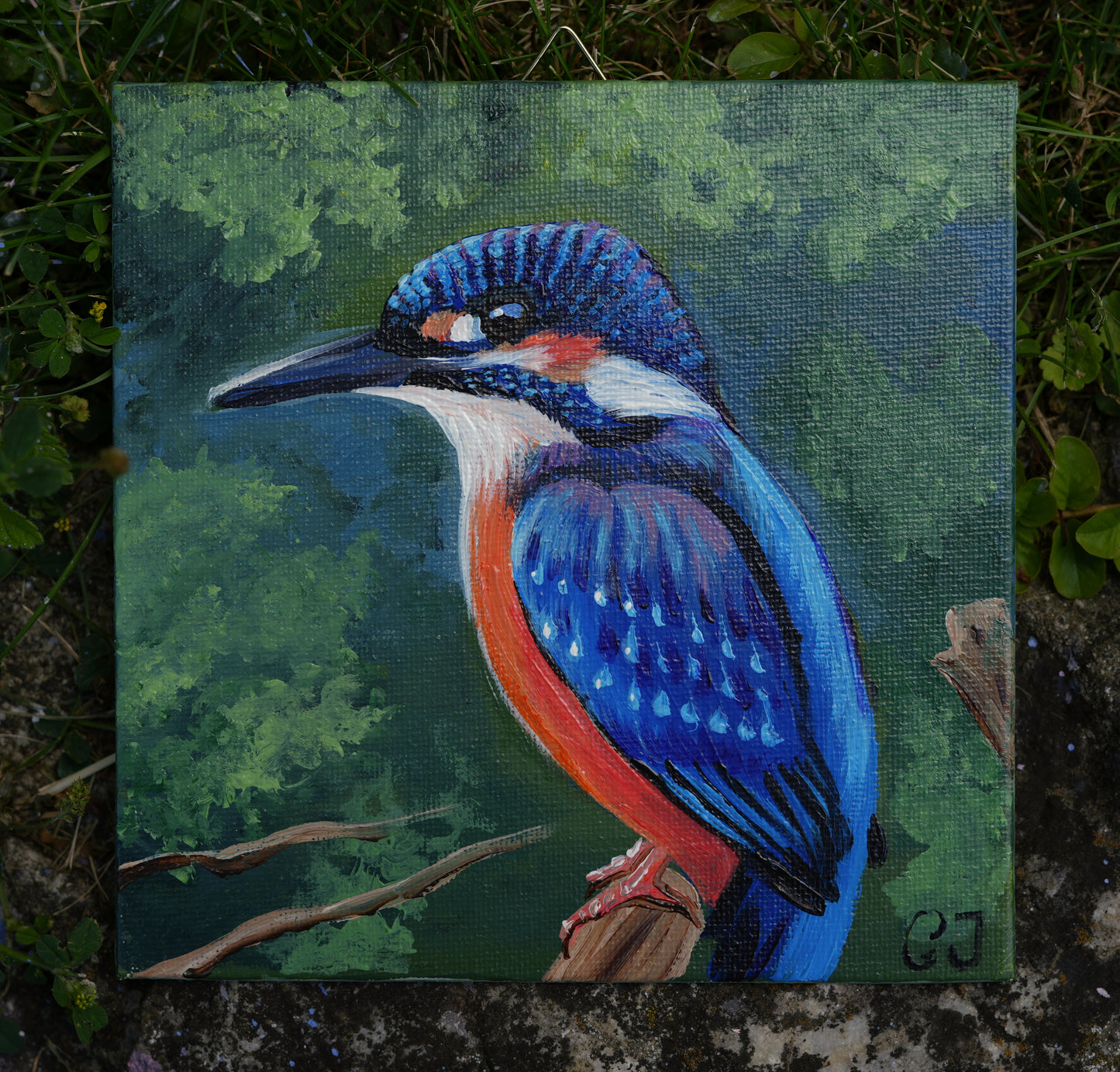 018/26 Eisvogel Julius