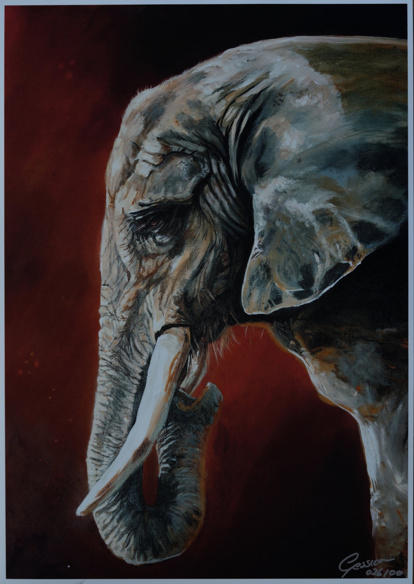 African Wildlife C.026/Elefant Print