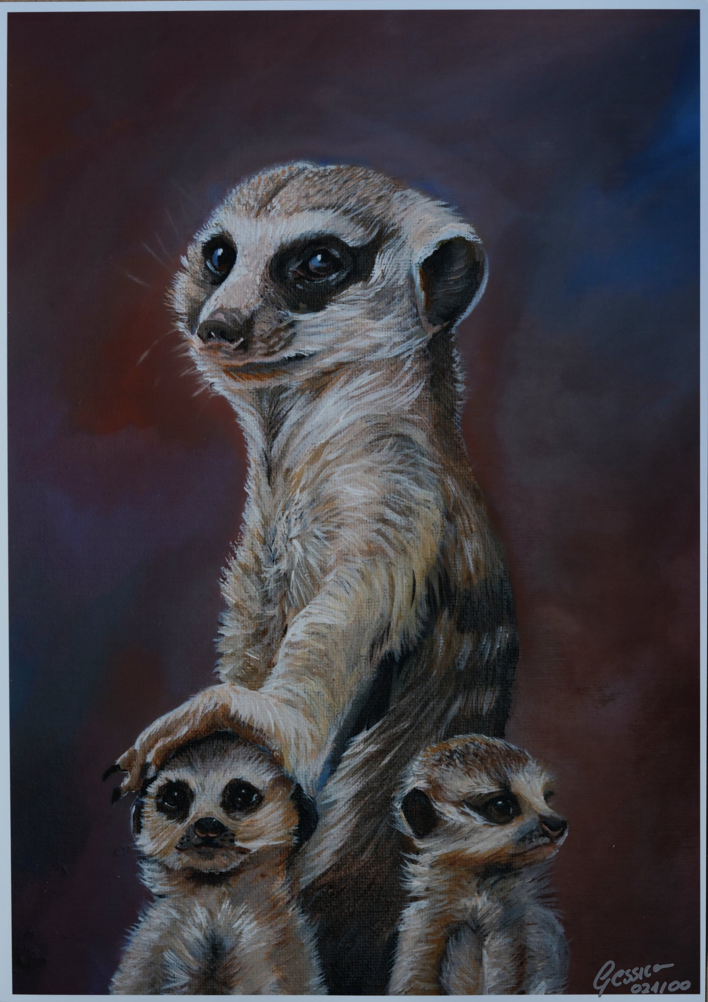 African Wildlife C.021/ Erdmännchen Print