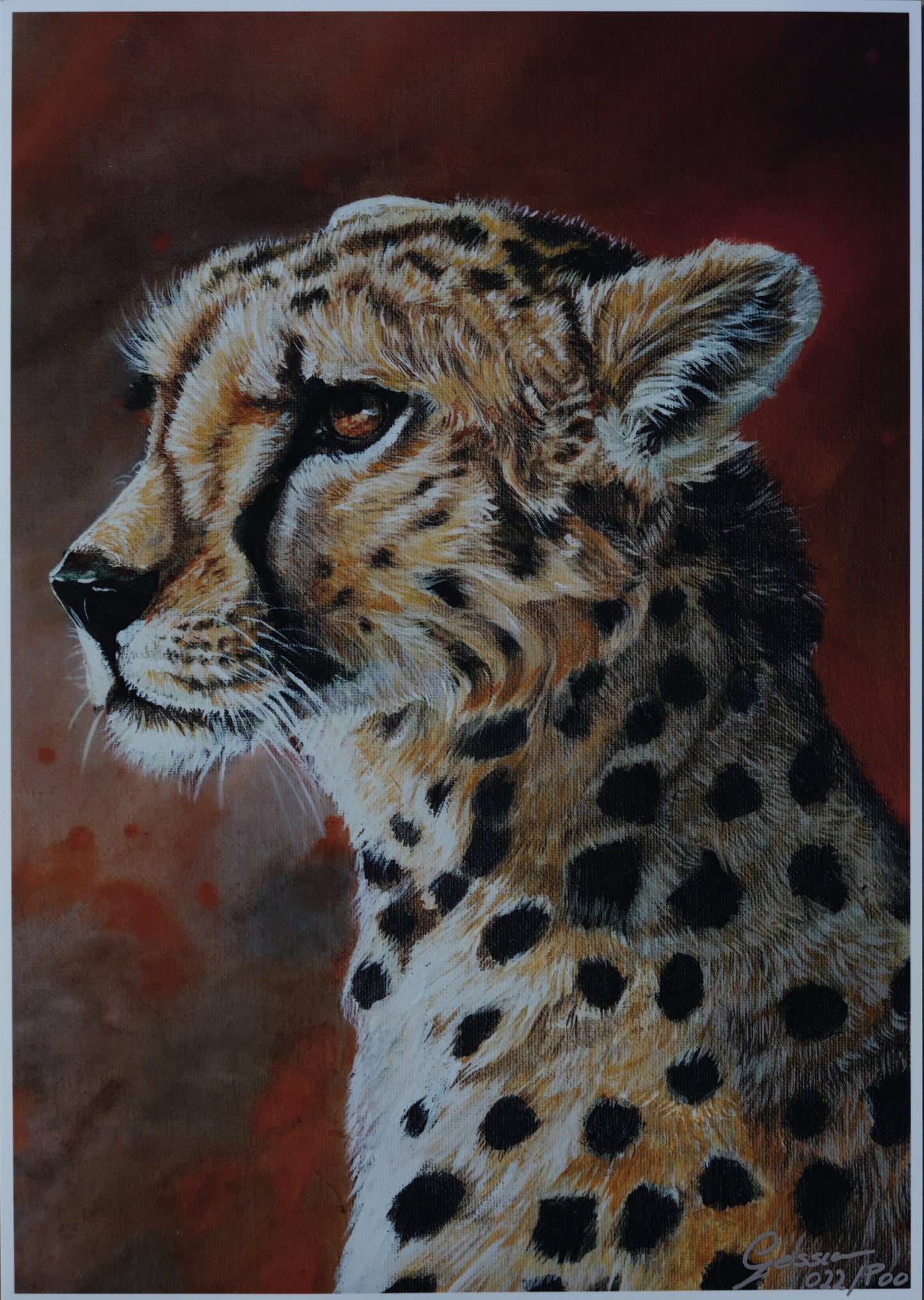 African Wildlife C.022/ Gepard Print