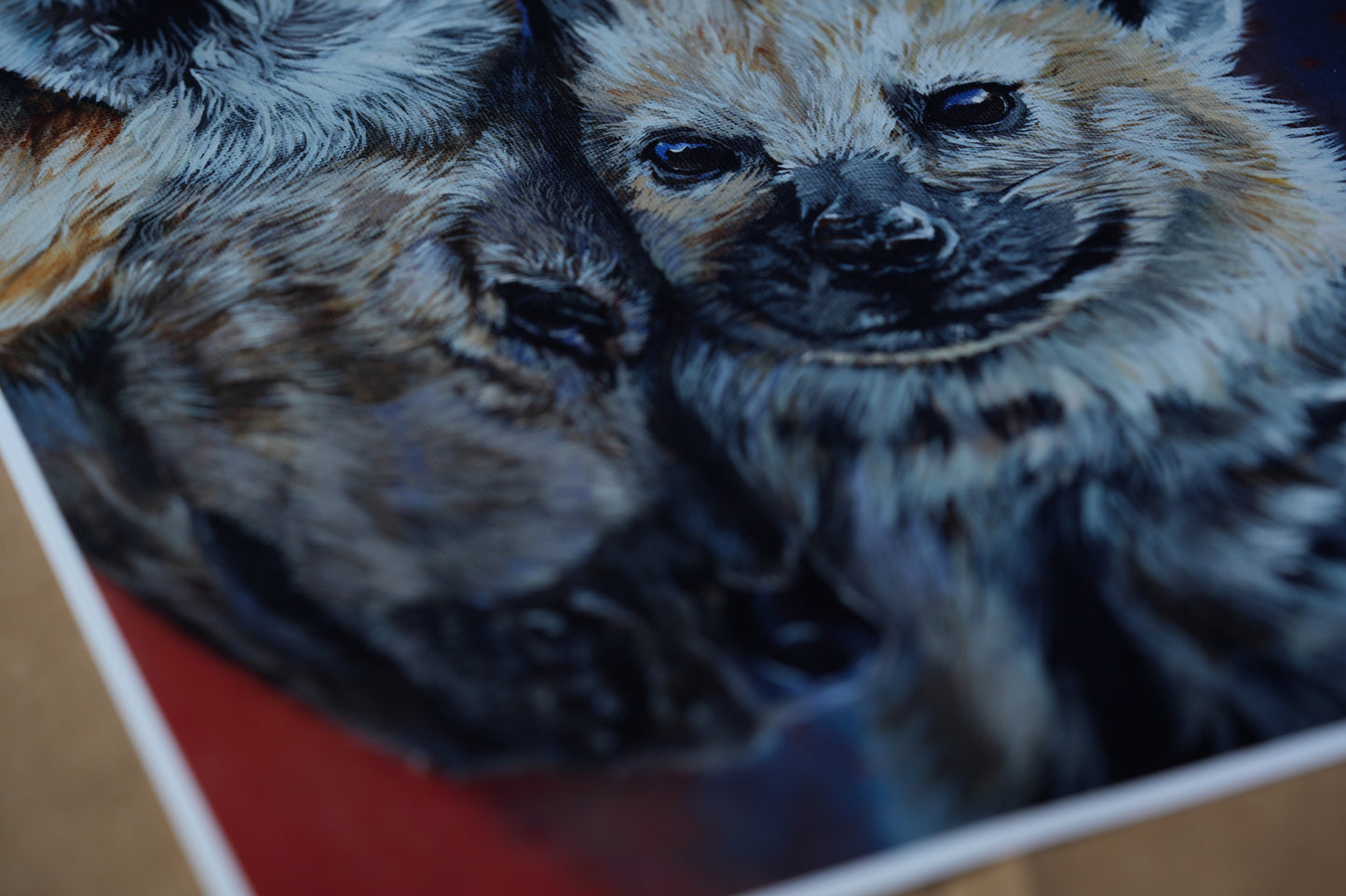 African Wildlife C.024/Hyänen Print