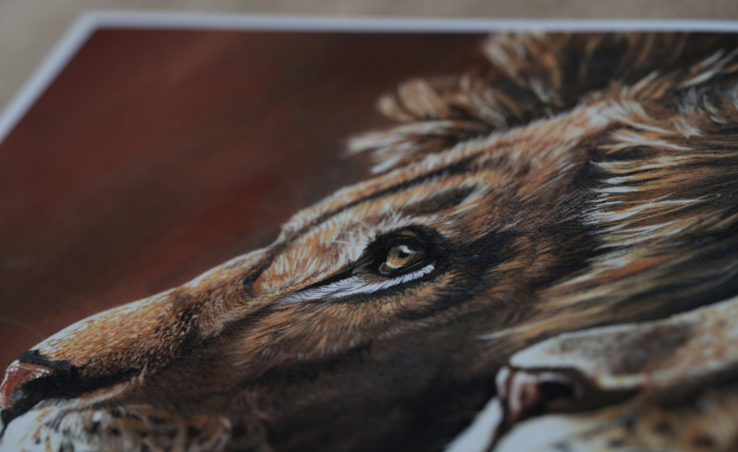 African Wildlife C.027/Löwen Print