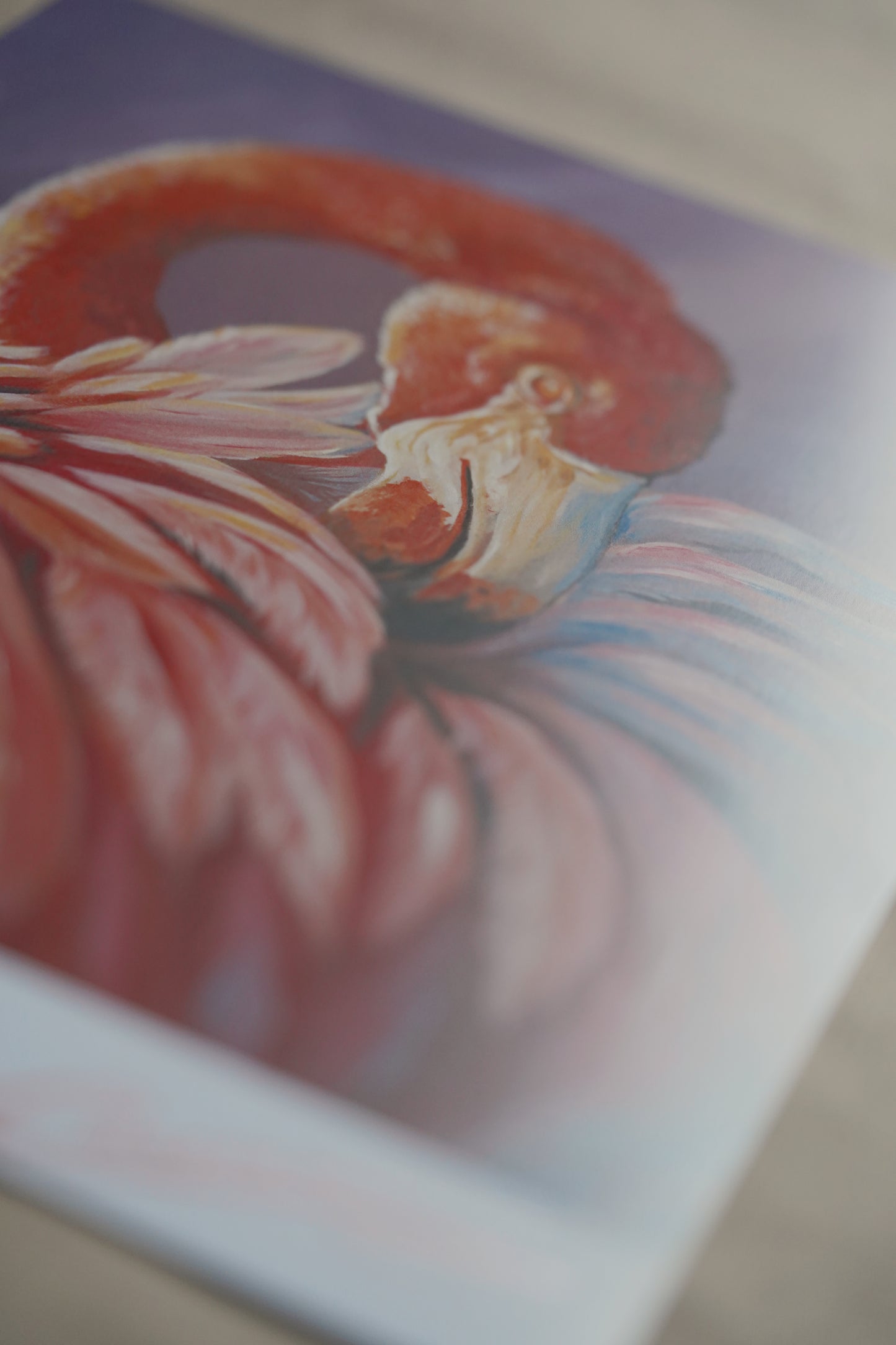010/ Rosa Flamingo Print