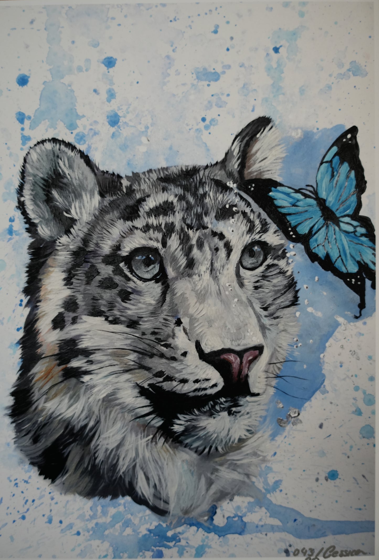 Butterflies and Friends C.043/ "Snow-leopard`s Friend" Print