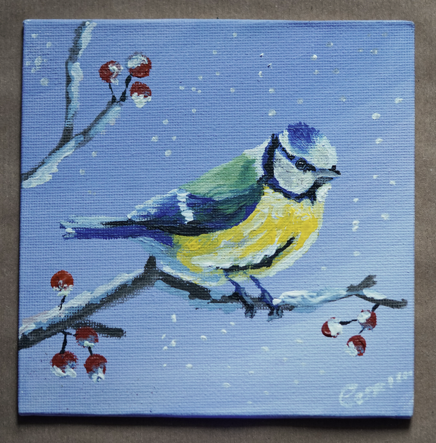 015/ Blaumeise Peter