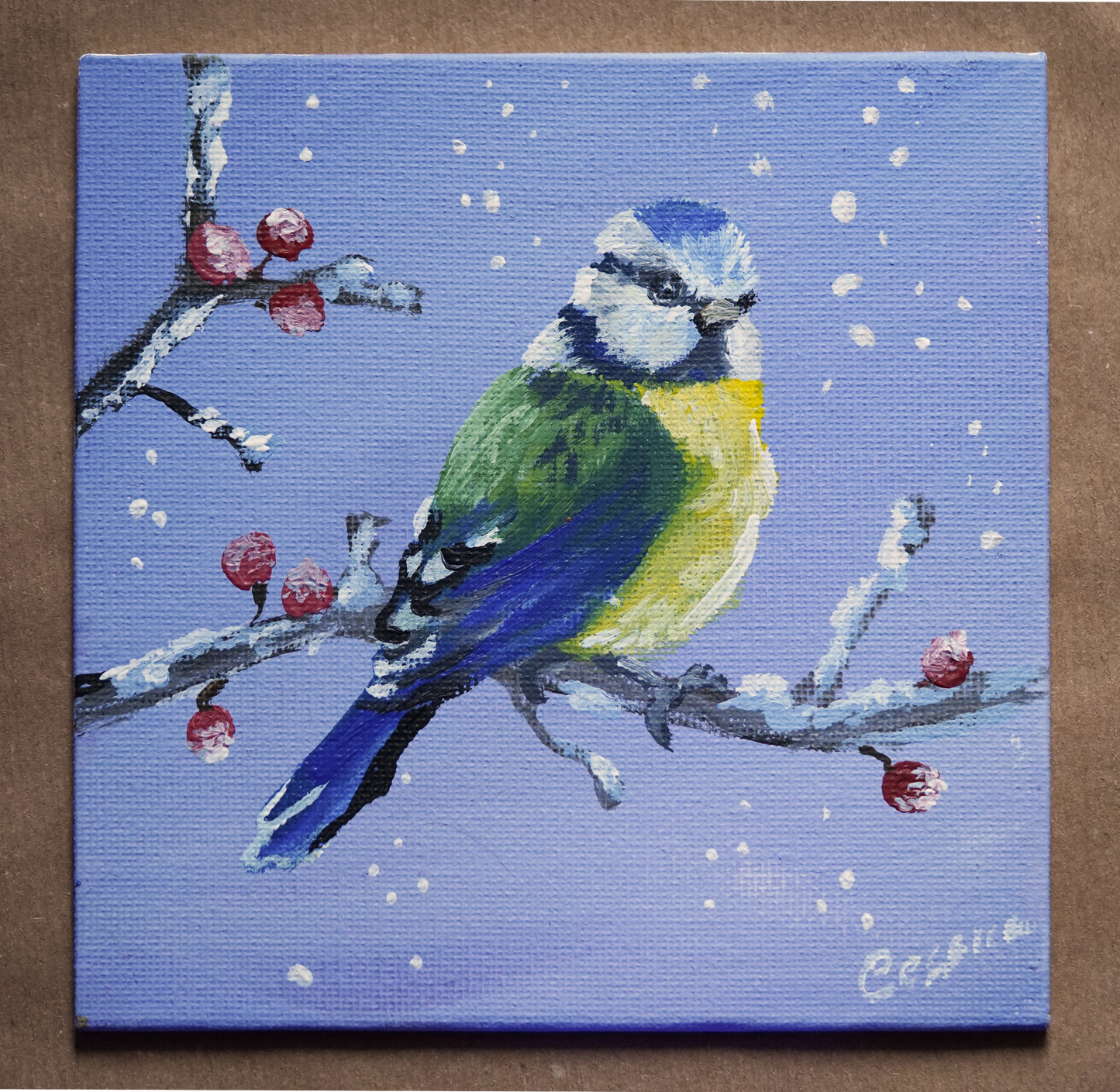 016/ Blaumeise Rudi