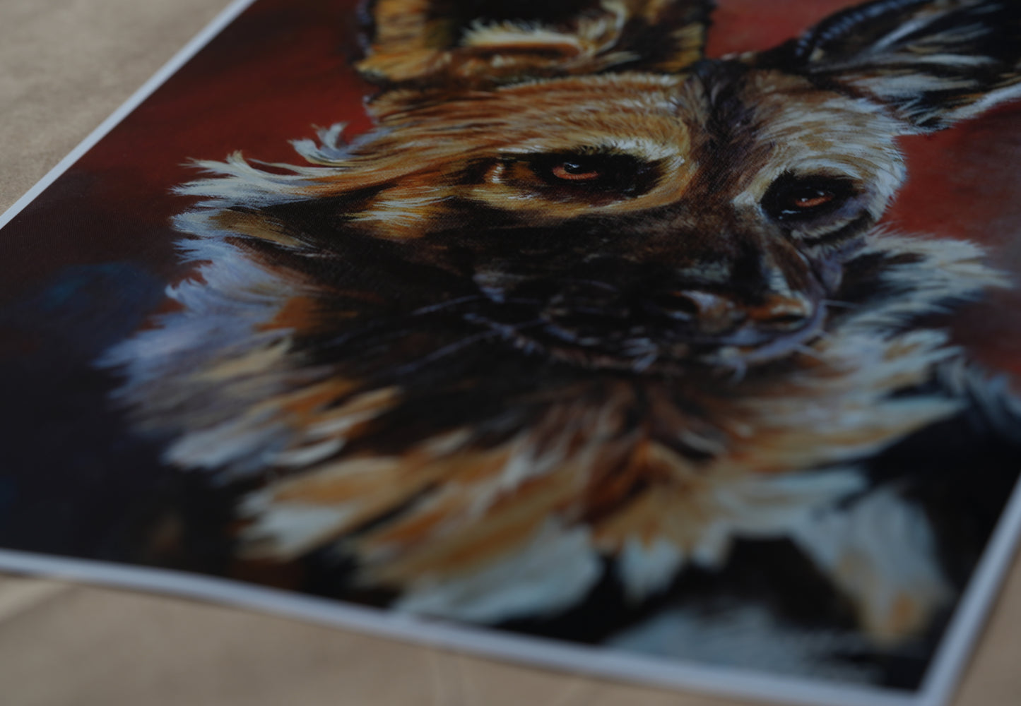 African Wildlife C.023/Afrikanischer Wildhund Print