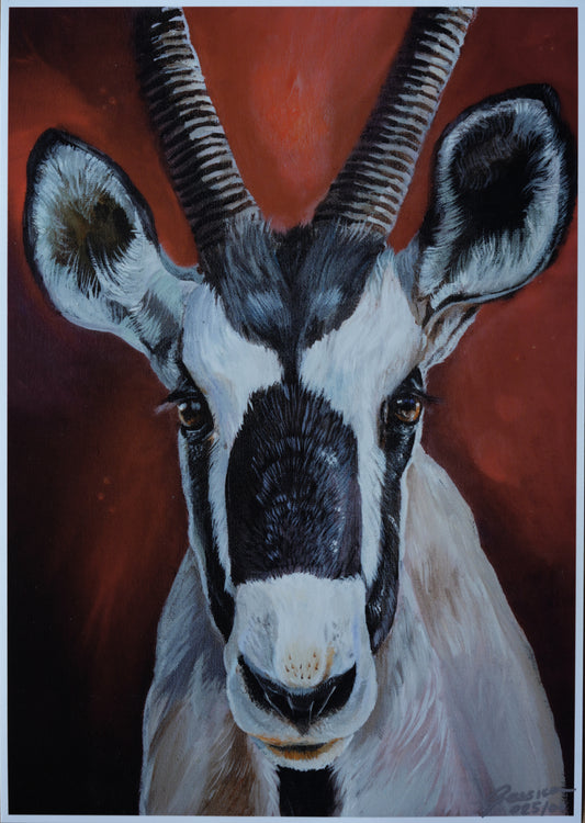 African Wildlife C.025/Oryx-Antilope Print