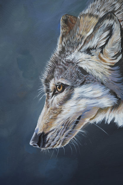 036 / "The gentle Wolf " Original