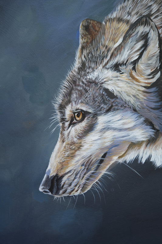 036 / "The gentle Wolf " Original