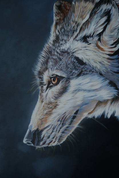 036/ "The gentle wolf " Print