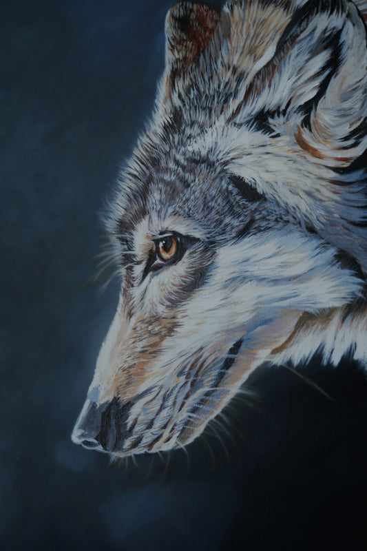 036/ "The gentle wolf " Print