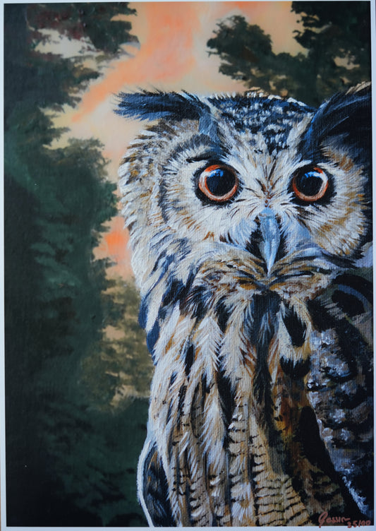 Into the Forest C.035/ Uhu Hugo Print