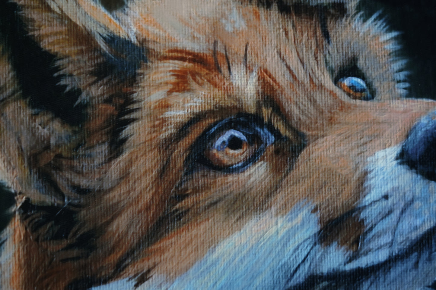 Into the Forest C.032/ Fuchs Findus Print