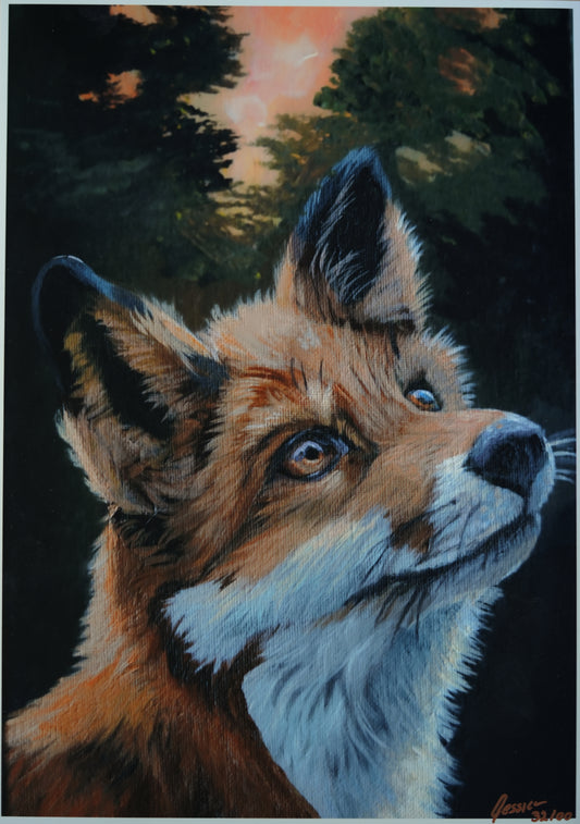Into the Forest C.032/ Fuchs Findus Print