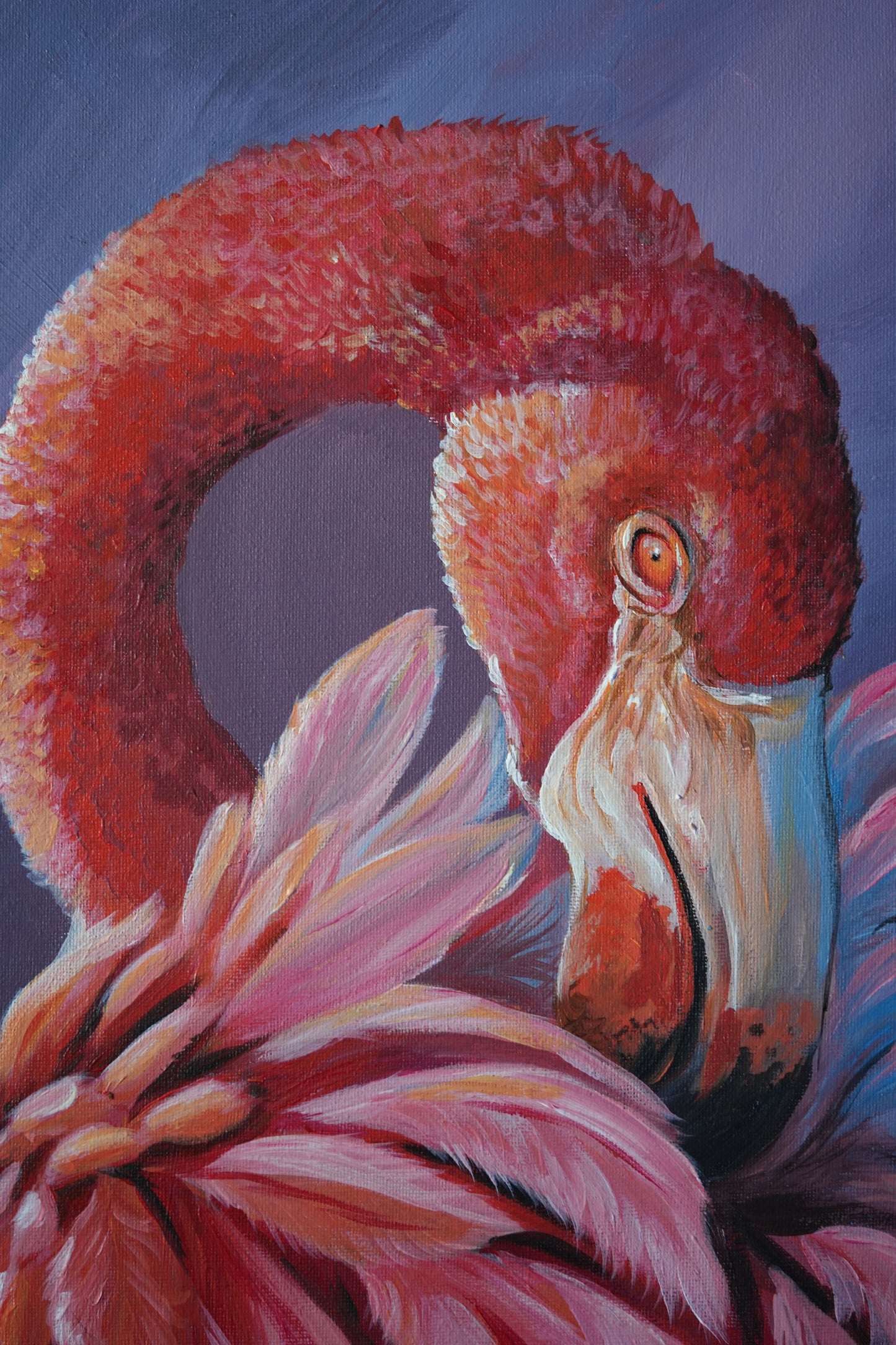 010 / Rosa Flamingo Original