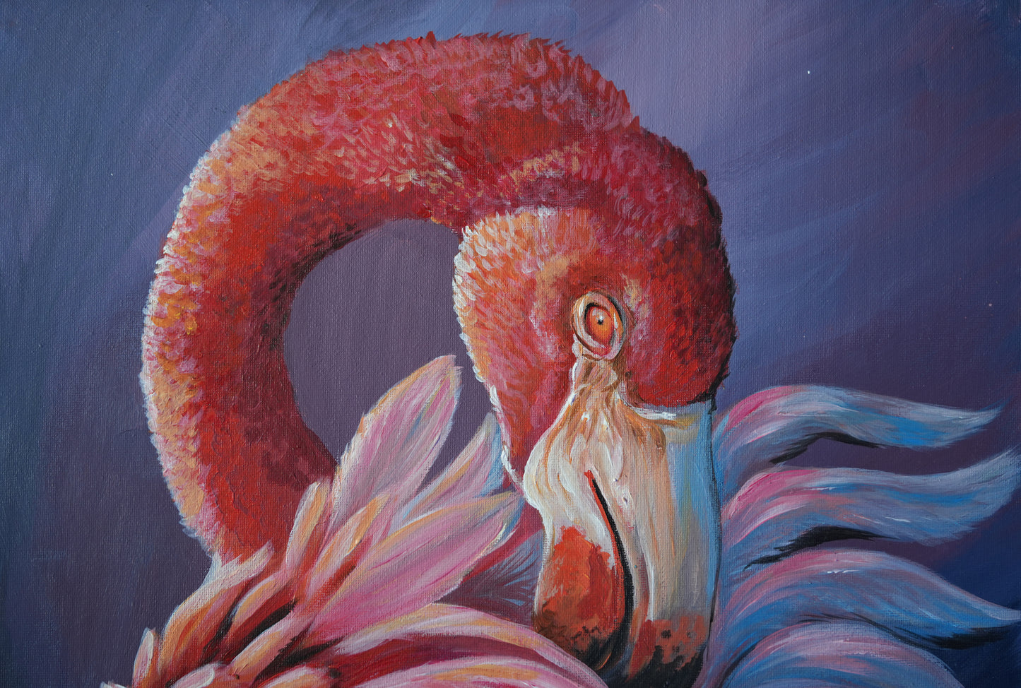 010 / Rosa Flamingo Original