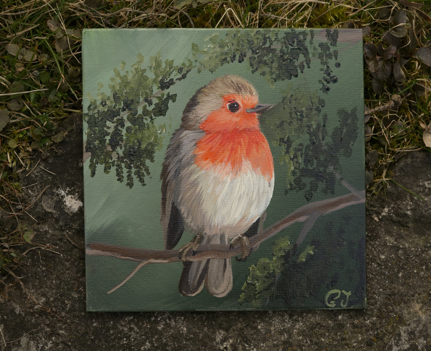 003/26 Rotkehlchen Hermine