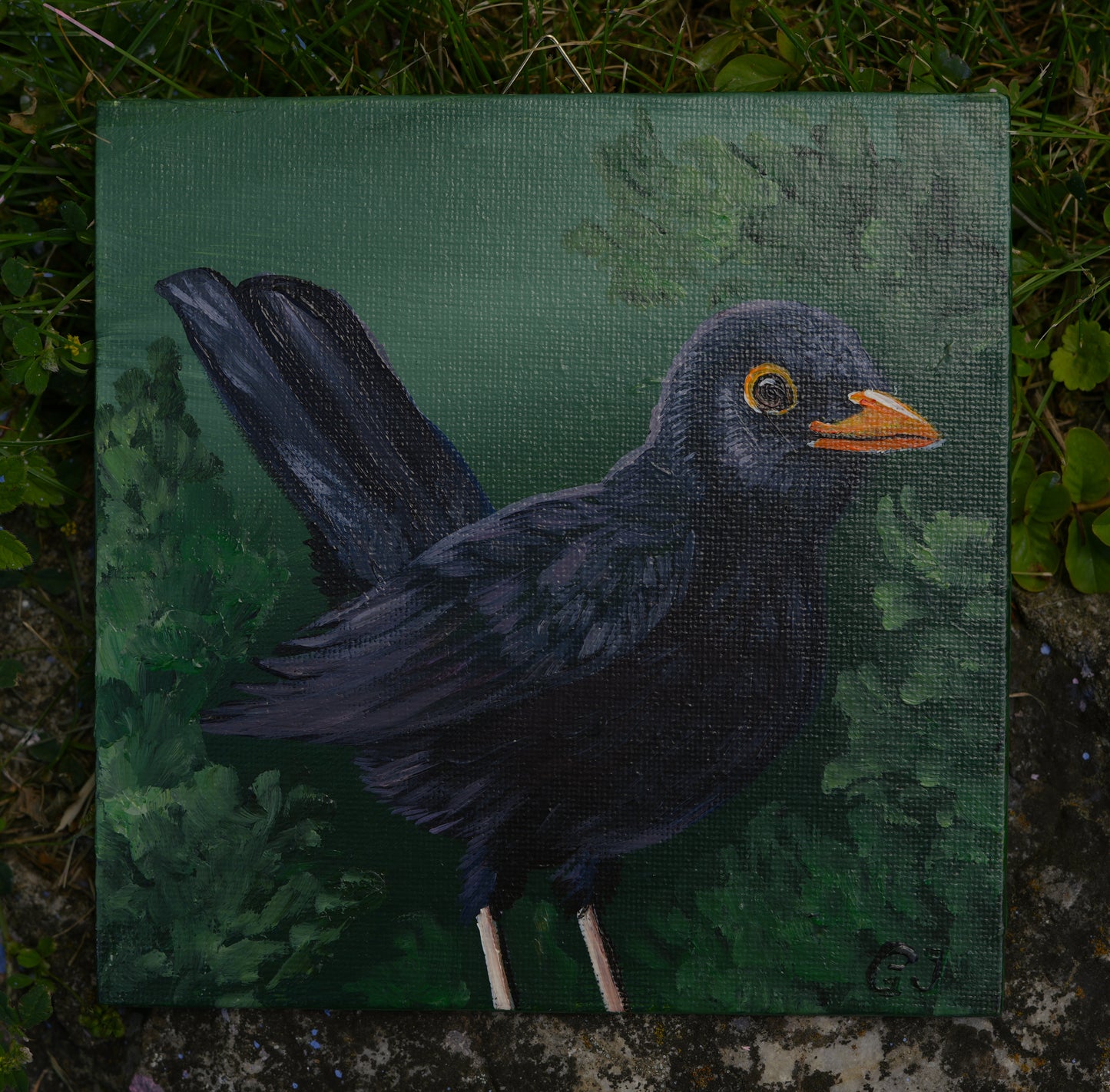 020/26 Amsel Seppi