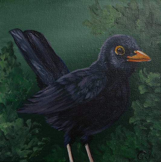 020/26 Amsel Seppi