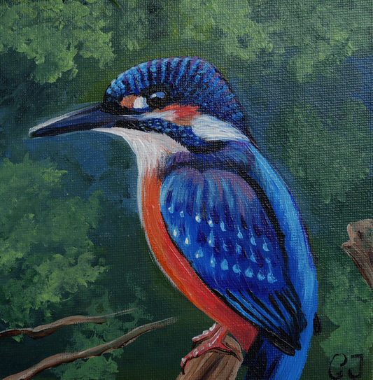018/26 Eisvogel Julius
