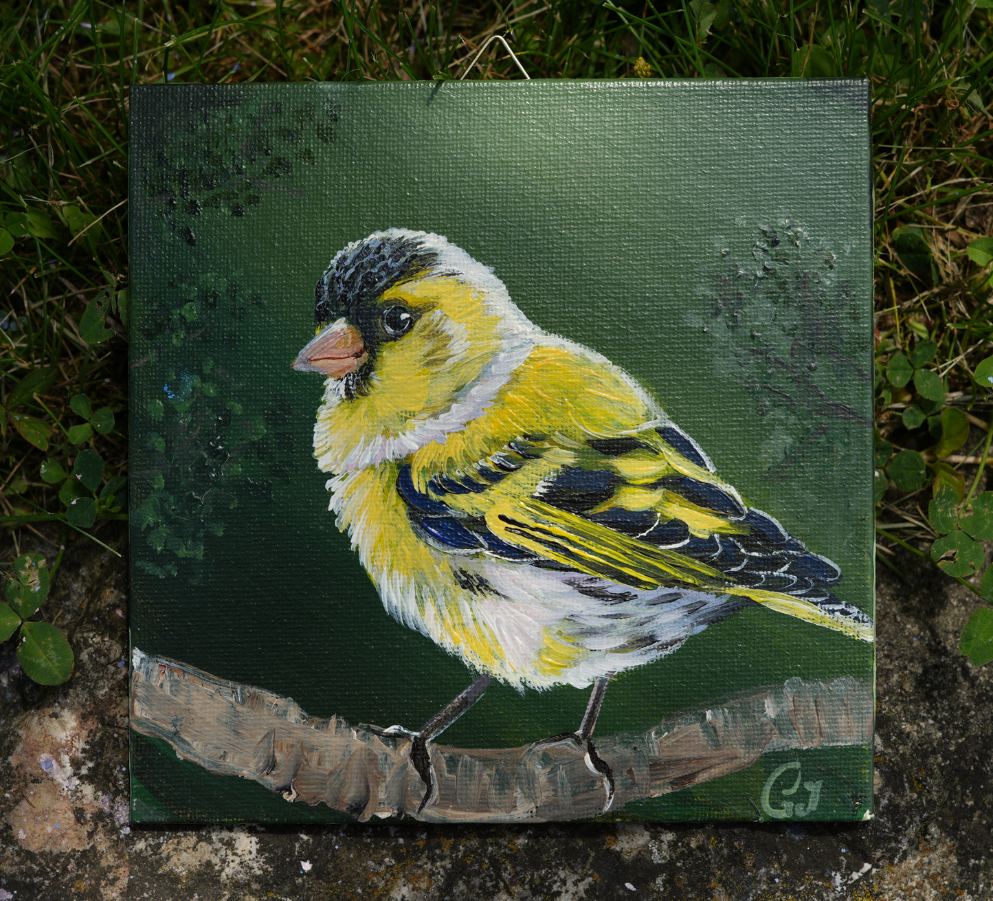 015/26 Erlenzeisig Phillip