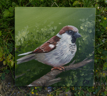 011/26 Spatz Christian