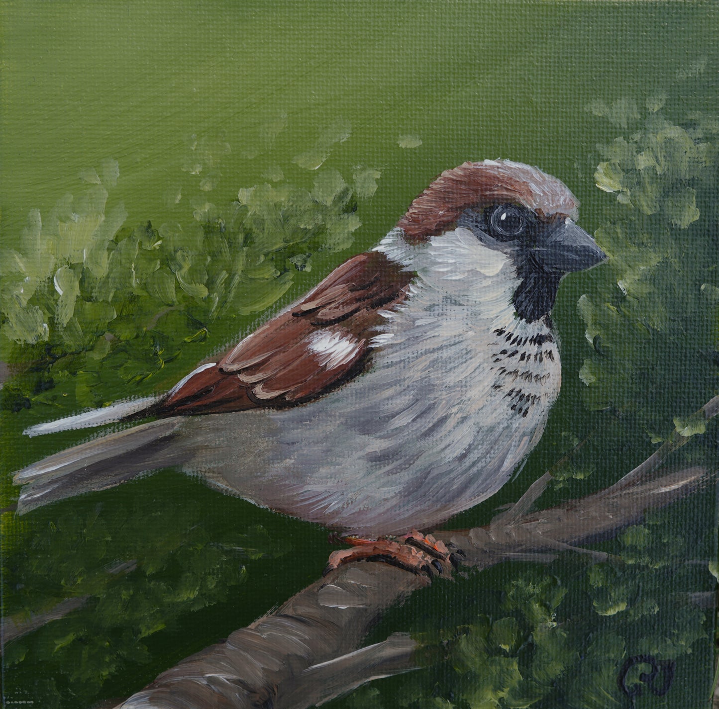 011/26 Spatz Christian