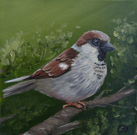 011/26 Spatz Christian