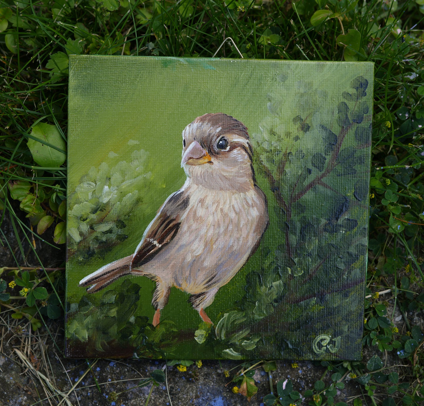 012/26 Spatz Sophie