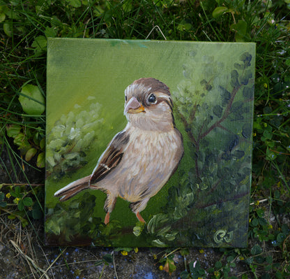 012/26 Spatz Sophie