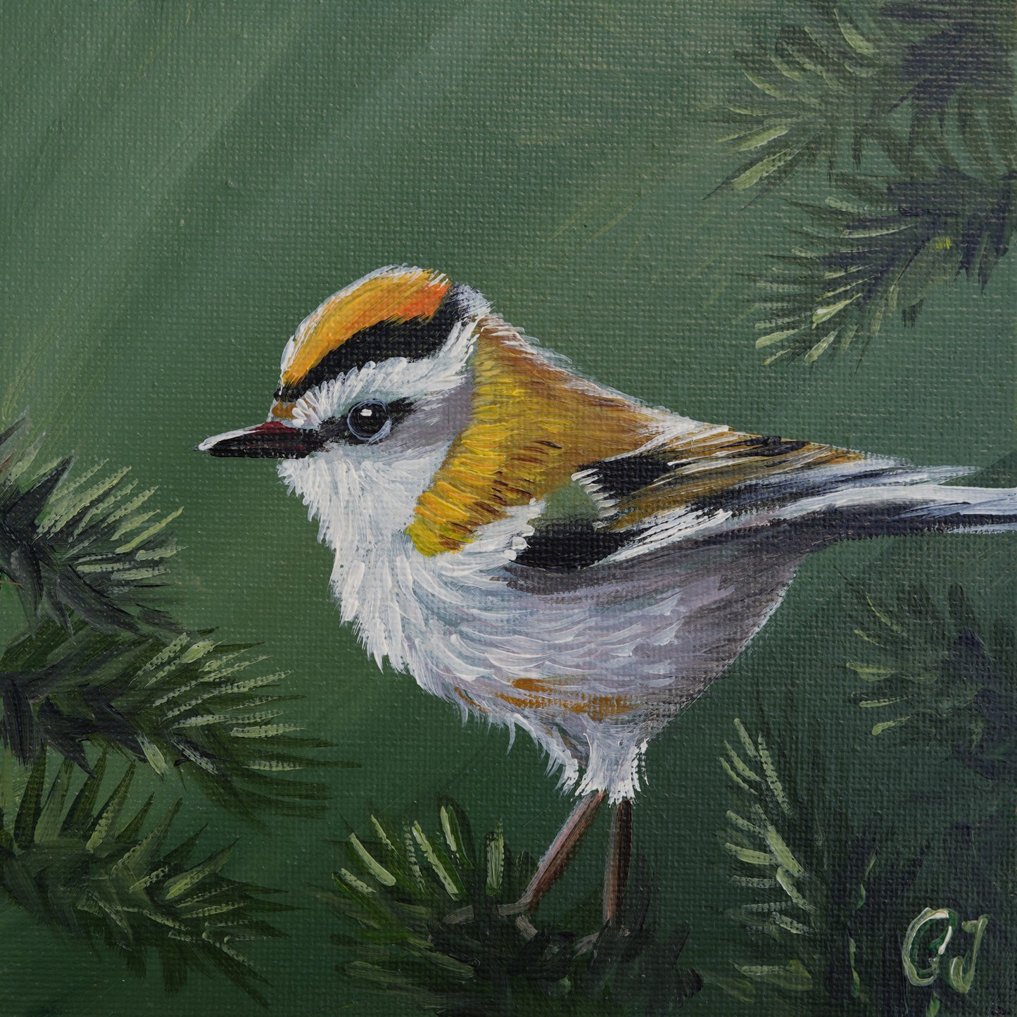 017/26 Sommergoldhähnchen Anni