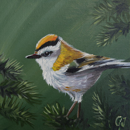 017/26 Sommergoldhähnchen Anni