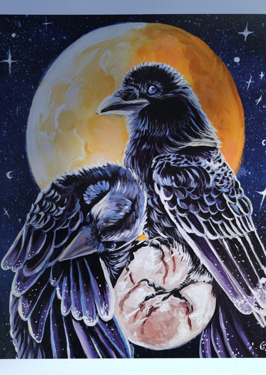 053/ Ravens Sight Print
