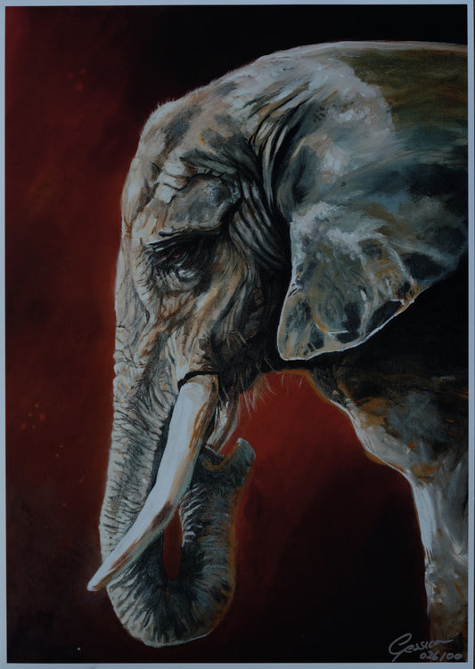 African Wildlife C.026/Elefant Print