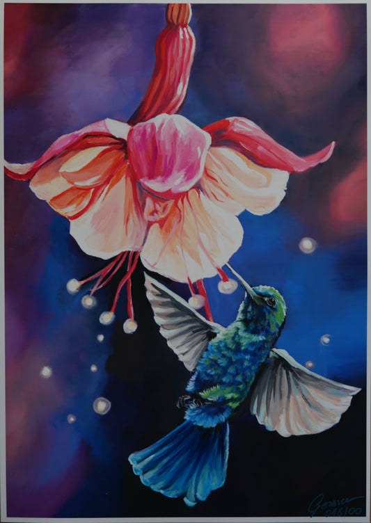 018/ The Flower of the Hummingbird Print
